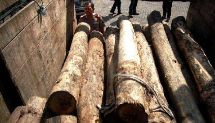 Dua Petugas Perhutani di Tuban Disekap dan Dianiaya Penjarah Kayu Dua Petugas Perhutani di Tuban Disekap dan Dianiaya Penjarah Kayu