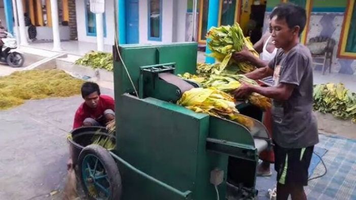 DKPP Pamekasan Gelontorkan Rp800 Juta untuk Bantuan 50 Unit Mesin Rajang Tembaku di 2025 DKPP Pamekasan Gelontorkan Rp800 Juta untuk Bantuan 50 Unit Mesin Rajang Tembaku di 2025