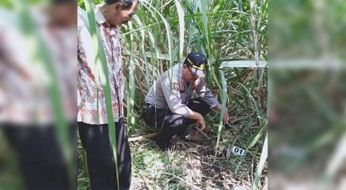 Kerangka Manusia Berbaju Doreng Ditemukan di Lahan Tebu Jetis Mojokerto