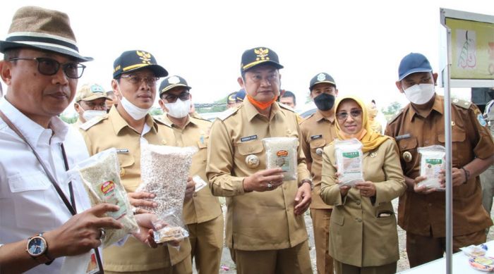 Peringati HPS, Pemkab Lamongan Kenalkan Sorgum Sebagai Komoditas Pangan Lokal Potensial Peringati HPS, Pemkab Lamongan Kenalkan Sorgum Sebagai Komoditas Pangan Lokal Potensial