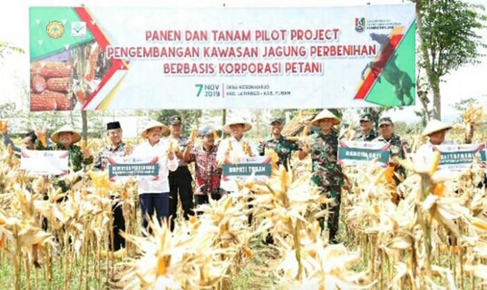 Tuban Bakal Dijadikan Sentra Benih Jagung di Jatim