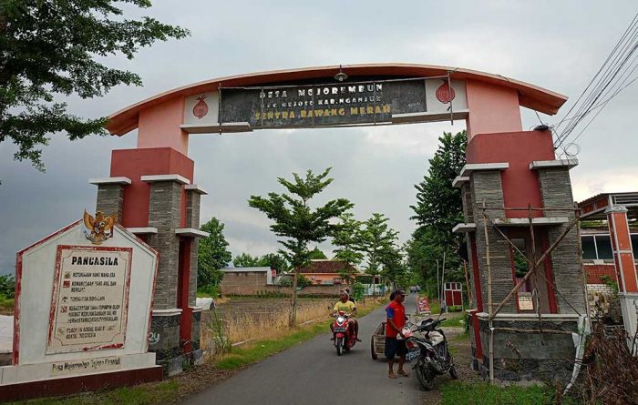 Minimalisasi Kerugian Akibat Serangan Penyakit, Petani Bawang Merah di Nganjuk Terpaksa Penen Dini Minimalisasi Kerugian Akibat Serangan Penyakit, Petani Bawang Merah di Nganjuk Terpaksa Penen Dini