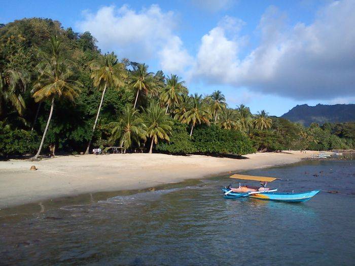 ​Pendapatan  Pantai Pasir Putih Trenggalek Tembus Rp 213 Juta Sehari 