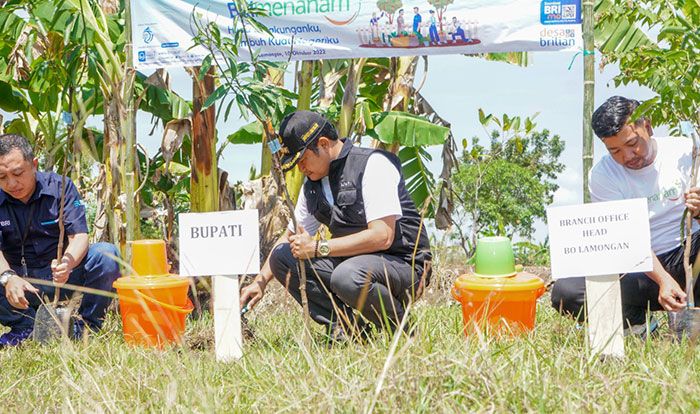 Peduli Lingkungan, Pemkab Lamongan dan BRI Tanam Pohon Peduli Lingkungan, Pemkab Lamongan dan BRI Tanam Pohon