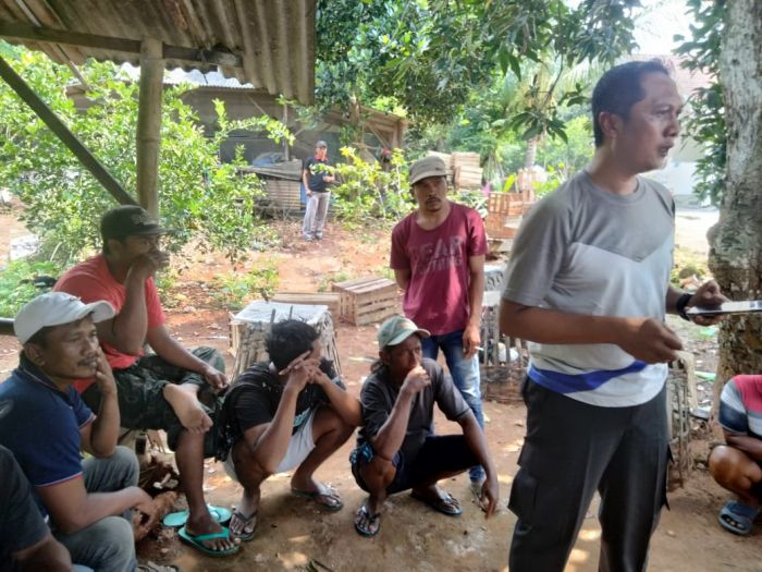 Polsek Ujungpangkah Gresik Amankan 77 Orang yang Terlibat Judi Sabung Ayam Polsek Ujungpangkah Gresik Amankan 77 Orang yang Terlibat Judi Sabung Ayam