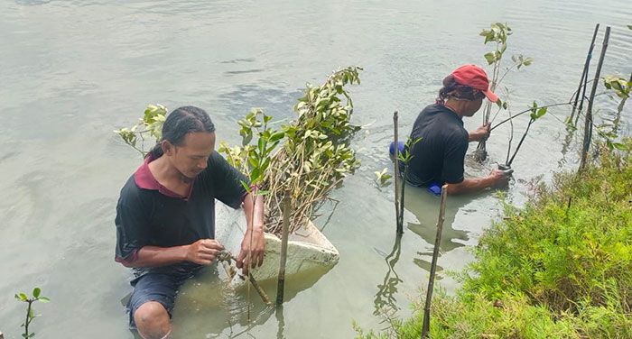 Lagi, Cargill Gresik Tanam 2.000 Mangrove di Kalimireng Manyar Gresik Lagi, Cargill Gresik Tanam 2.000 Mangrove di Kalimireng Manyar Gresik