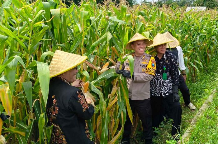 Wujudkan Swasembada Pangan, Polres Blitar Tanam Jagung di Lahan Kosong Wujudkan Swasembada Pangan, Polres Blitar Tanam Jagung di Lahan Kosong