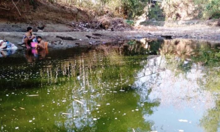 Dampak Kekeringan, Warga Sampang Mandi di Kubangan Dampak Kekeringan, Warga Sampang Mandi di Kubangan