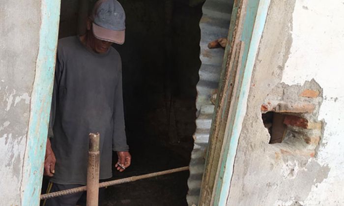 Jebol Tembok Kandang, Kawanan Maling di Probolinggo Curi Seekor Sapi Seharga Rp 20 Juta Jebol Tembok Kandang, Kawanan Maling di Probolinggo Curi Seekor Sapi Seharga Rp 20 Juta
