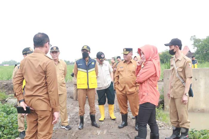 Sawah di Desa Tempuran Terendam Banjir, Pemkab Mojokerto Kerahkan Alat Berat Sawah di Desa Tempuran Terendam Banjir, Pemkab Mojokerto Kerahkan Alat Berat