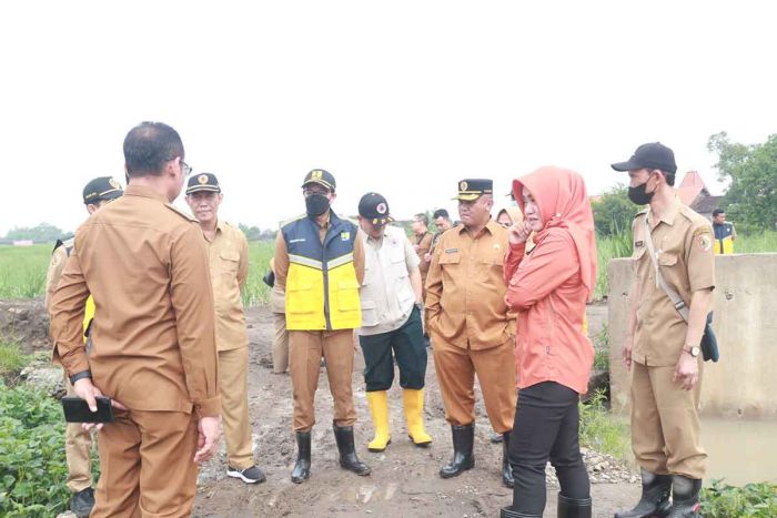 Sawah di Desa Tempuran Terendam Banjir, Pemkab Mojokerto Kerahkan Alat Berat