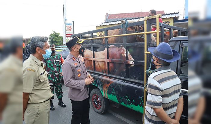 Disnakkan Kabupaten Blitar Tunggu Kebijakan Provinsi soal Vaksin PMK