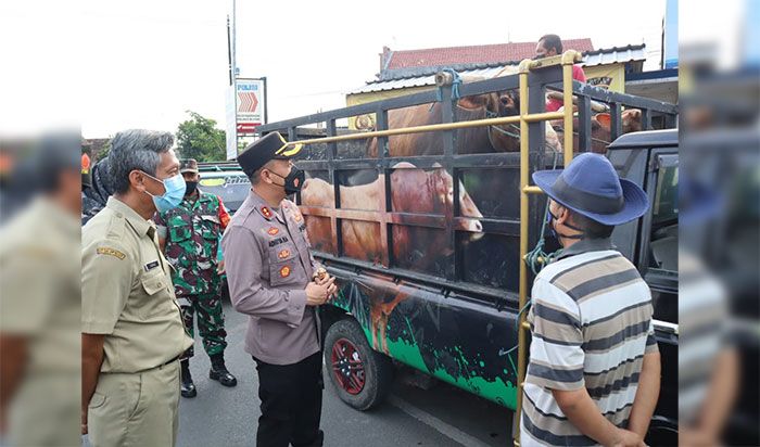 Disnakkan Kabupaten Blitar Tunggu Kebijakan Provinsi soal Vaksin PMK Disnakkan Kabupaten Blitar Tunggu Kebijakan Provinsi soal Vaksin PMK