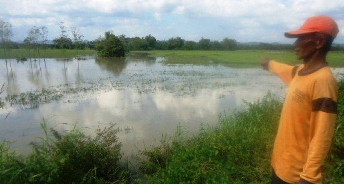 Kerugian Banjir Bandang di Bojonegoro Capai Rp 1 M Lebih