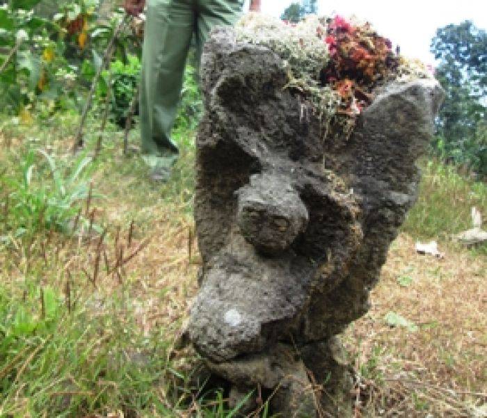 Arca Kangkang Ditemukan di Semak Arca Kangkang Ditemukan di Semak