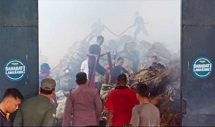 Si Jago Merah Lalap Gudang Tembakau di Pamekasan, Kerugian Capai Miliaran Rupiah Si Jago Merah Lalap Gudang Tembakau di Pamekasan, Kerugian Capai Miliaran Rupiah