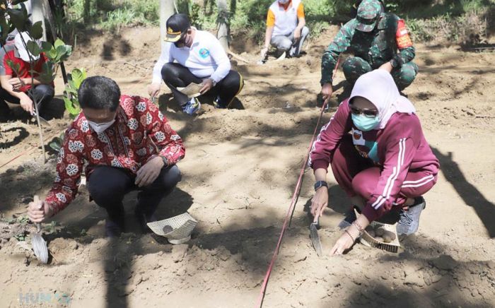 Jaga Ketahanan Pangan, Wali Kota Batu Ajak Masyarakat Kembangkan Porang