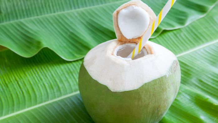 Amankah Minum Air Kelapa Setiap Hari? Ini Faktanya Amankah Minum Air Kelapa Setiap Hari? Ini Faktanya