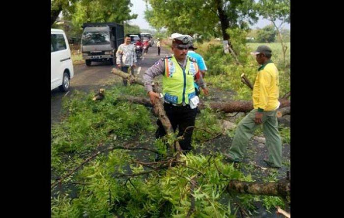 Sepuluh Menit Terjang Ngawi, Puting Beliung Robohkan 5 Tiang Listrik dan 1 Rumah Sepuluh Menit Terjang Ngawi, Puting Beliung Robohkan 5 Tiang Listrik dan 1 Rumah