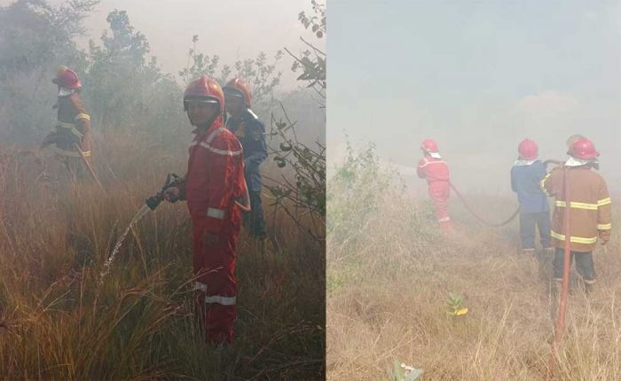 Lahan Kilang Tuban GRR Kembali Terbakar, Ini Penyebabnya Lahan Kilang Tuban GRR Kembali Terbakar, Ini Penyebabnya