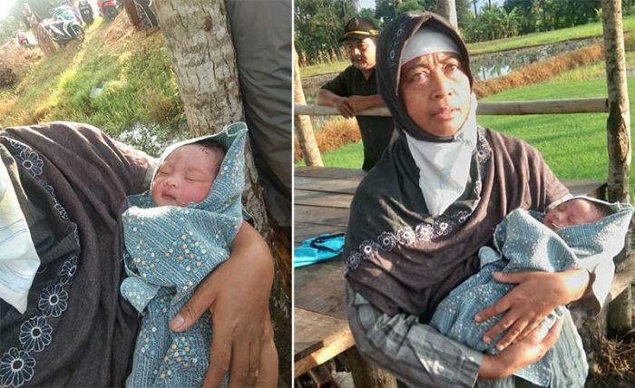 Bayi Laki-laki Ditemukan Warga di Gubuk Sawah Pinggir Jalan Raya Kabat Banyuwangi Bayi Laki-laki Ditemukan Warga di Gubuk Sawah Pinggir Jalan Raya Kabat Banyuwangi