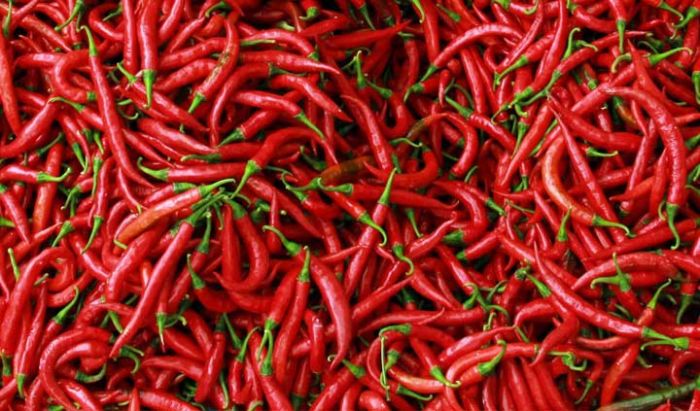 Harga Cabai di Pacitan Tembus Rp 70 Ribu per Kg Harga Cabai di Pacitan Tembus Rp 70 Ribu per Kg