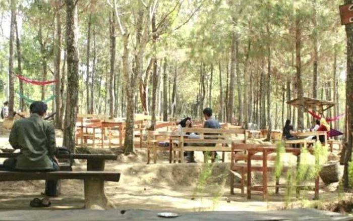 BMKG Sebut Kabupaten Kediri Cerah Berawan pada 28 Desember 2023 BMKG Sebut Kabupaten Kediri Cerah Berawan pada 28 Desember 2023