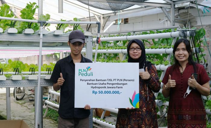 Galakkan Electrifying Agriculture, PLN Kembali Bantu UKM Jawara Farm Galakkan Electrifying Agriculture, PLN Kembali Bantu UKM Jawara Farm
