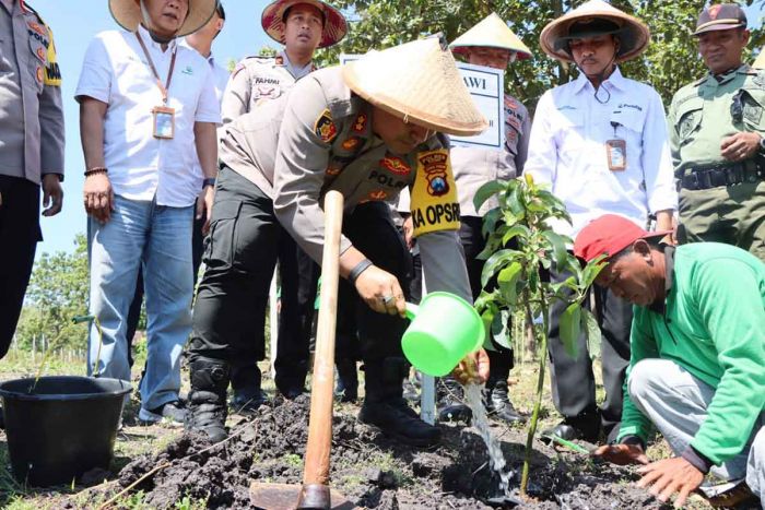 Gandeng Perhutani, Kapolres Ngawi Manfaatkan Hutan Sebagai Lahan Produksi Pangan Gandeng Perhutani, Kapolres Ngawi Manfaatkan Hutan Sebagai Lahan Produksi Pangan
