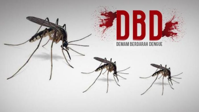 DBD di Pasuruan, 17 Pasien Terindikasi, 2 Positif DBD di Pasuruan, 17 Pasien Terindikasi, 2 Positif