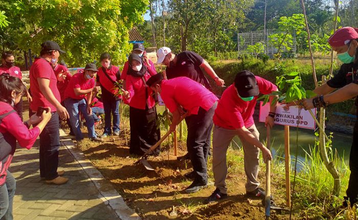 Peringati Bulan Bung Karno, DPC PDI Perjuangan Trenggalek Gelar Tanam Pohon