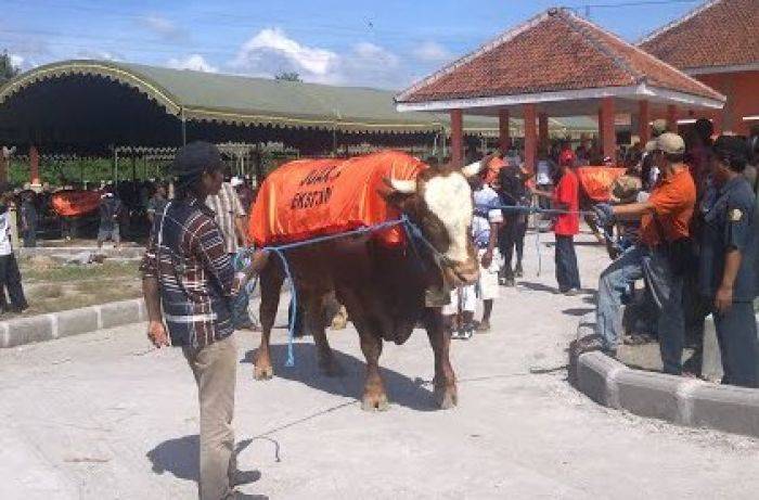 DPRD Blitar Minta Pemkab Hapus Retribusi Jual Beli Hewan Ternak DPRD Blitar Minta Pemkab Hapus Retribusi Jual Beli Hewan Ternak