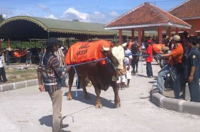 DPRD Blitar Minta Pemkab Hapus Retribusi Jual Beli Hewan Ternak