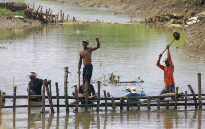 Persiapan Tanam Musim Kemarau, Petani Bojonegoro Bendung Sungai