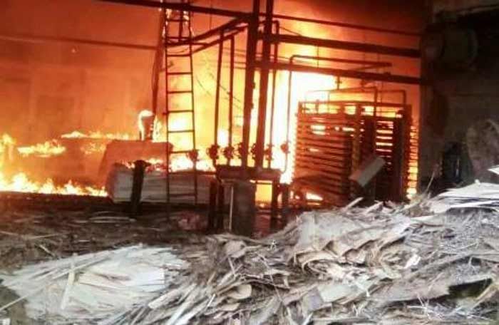 Pabrik Plywood di Donorojo Pacitan Kembali Terbakar