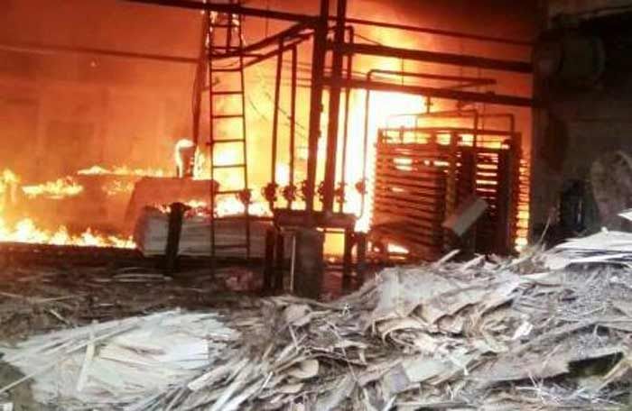 Pabrik Plywood di Donorojo Pacitan Kembali Terbakar Pabrik Plywood di Donorojo Pacitan Kembali Terbakar