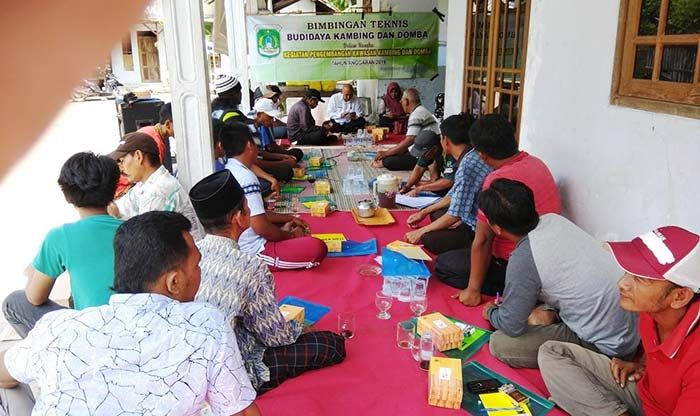 Tingkatkan Pengetahuan Peternak, Pemkab Pasuruan Gelar Bimtek Ternak Kambing Modern Tingkatkan Pengetahuan Peternak, Pemkab Pasuruan Gelar Bimtek Ternak Kambing Modern