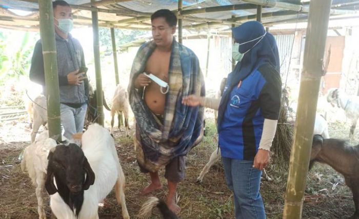 Jelang Idul Adha, Disnak Ketahanan Pangan Kabupaten Pasuruan Sidak Pedagang Hewan Kurban Jelang Idul Adha, Disnak Ketahanan Pangan Kabupaten Pasuruan Sidak Pedagang Hewan Kurban