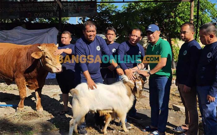 BPBD Jatim Kurban 4 Ekor Sapi dan 7 Ekor Kambing di Iduladha 1445 H BPBD Jatim Kurban 4 Ekor Sapi dan 7 Ekor Kambing di Iduladha 1445 H