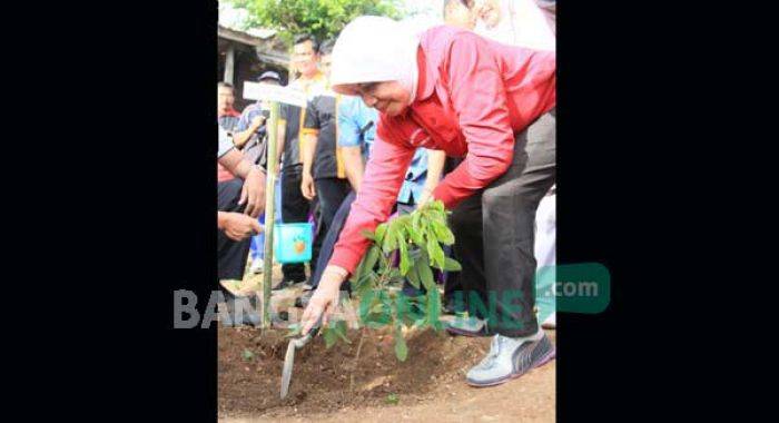 Terpilih Lagi, Haryanti Langsung Tanam Bibit Buah di Kawasan Wisata Air Terjun Ngleyangan