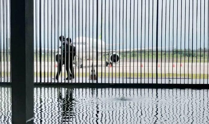 Penerbangan di Bandara Banyuwangi Kembali Dibuka Penerbangan di Bandara Banyuwangi Kembali Dibuka