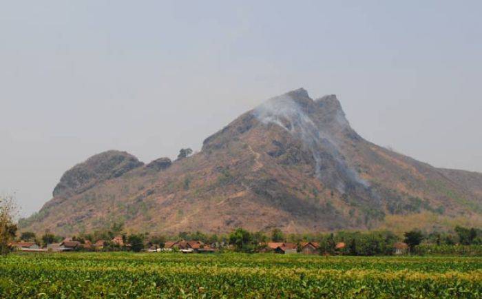 Gunung Budeg Tulungagung Terbakar