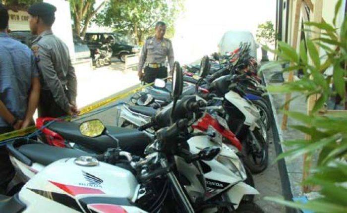 Polres Trenggalek Gerebek Judi Sabung Ayam Polres Trenggalek Gerebek Judi Sabung Ayam