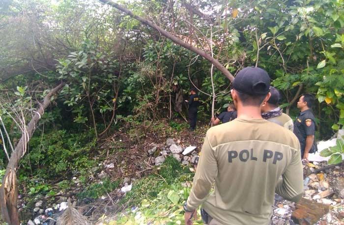 Satpol PP Surabaya Evakuasi Monyet Liar di Wilayah Kota Satpol PP Surabaya Evakuasi Monyet Liar di Wilayah Kota