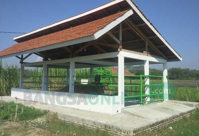 Dibangun dengan Anggaran 197 Juta, Kandang Sapi Tapi Tak Ada Sapinya Dibangun dengan Anggaran 197 Juta, Kandang Sapi Tapi Tak Ada Sapinya