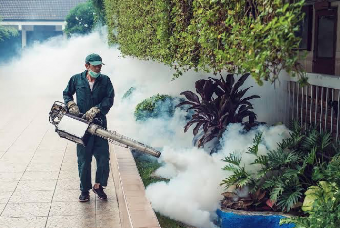 Dinkes Kota Batu Anggap Fogging Tak Cukup Efektif Cegah DBD, Masyarakat Diminta Lakukan Hal ini Dinkes Kota Batu Anggap Fogging Tak Cukup Efektif Cegah DBD, Masyarakat Diminta Lakukan Hal ini