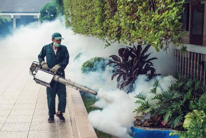 Dinkes Kota Batu Anggap Fogging Tak Cukup Efektif Cegah DBD, Masyarakat Diminta Lakukan Hal ini