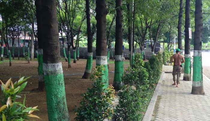 RTH di Pasuruan Baru Terpenuhi 5 Persen RTH di Pasuruan Baru Terpenuhi 5 Persen