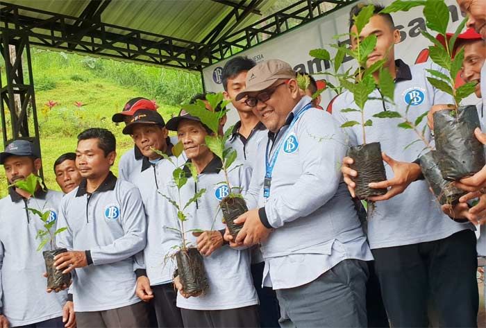 Bersama Petani, BI Kediri Tanam 25 Ribu Bibit Kopi di Lereng Wilis