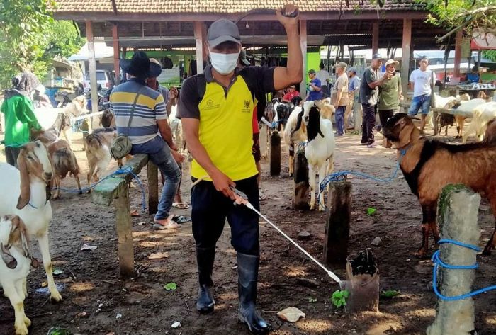 Percepat Penanganan PMK pada Hewan Ternak, DKPP Kota Kediri Buka Layanan Pengaduan Percepat Penanganan PMK pada Hewan Ternak, DKPP Kota Kediri Buka Layanan Pengaduan